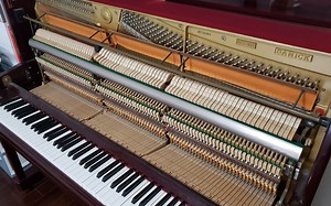【嗨琴社】Scott Joplin - Peacherine Rag