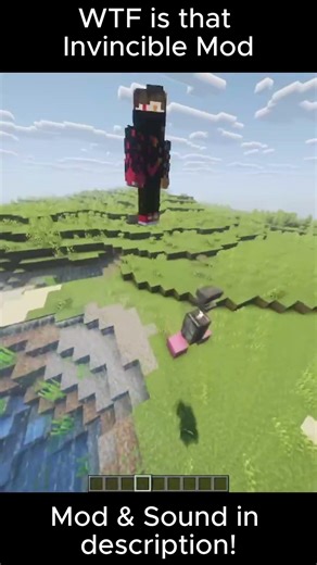 Minecraft Invincible Goofy ahh Mod 💀 #invincible #invincibleedit #invinciblememes #goofy #goofymemes