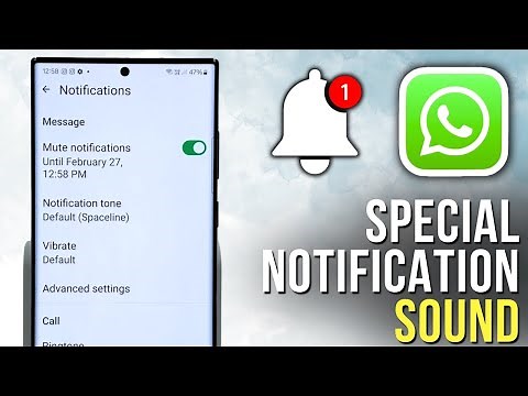 How to Set Custom Notification Sounds for Contacts and Groups in WhatsApp