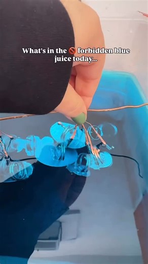 Foxlark Handcrafted Crystal Jewelry on Instagram: "Sooooo... too weird? Exactly weird enough? fa Tell me I can take it. I know the weird stuff isn’t for everyone but I’ve been enjoying finding all these different odd, weird, silly things to turn into jewelry so much! I can’t stop. (Always open to new suggestions btw) Anyways we are finally getting to give these guys a final polish today after being encased in fine silver and they are all almost ready! (I’ve got some more to show too too! Includi