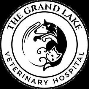 Veterinary Services Near Me 94610 - The Grand Lake Veterinary Hospital