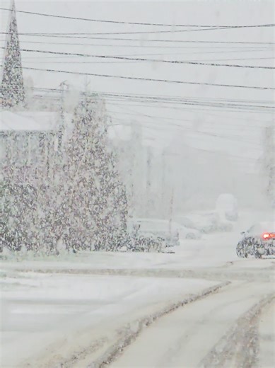 Neverovatan intenzitet padanja snega u ovim momentima u Beogradu. Kakvo je stanje kod vas? 3. 1. 2026. #serbia #zima #srbija #sneg #beograd
