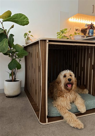 Crate Training Benefits for Dogs with The Tilly Dog Crate