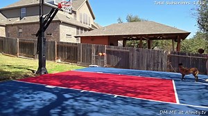 Alinity - Ready for the NBA