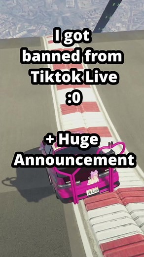 Banned from TikTok?