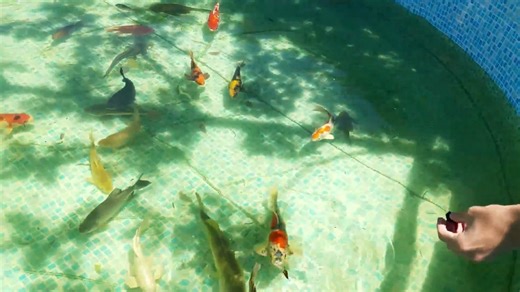 He thought it was just feeding time… then the bass exploded