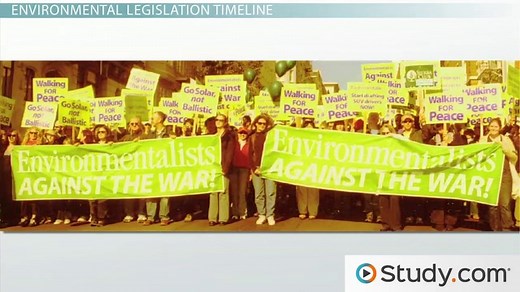 Environmental Law Definition & Policies