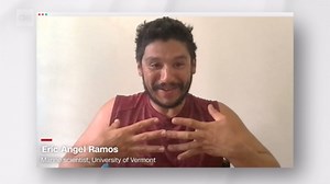 Video: Is this what octopus nightmares look like?