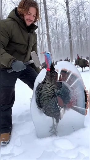 Frozen Turkey Rescue – Brave Man Saves Bird from Ice Trap 🧊🦃.#viral
