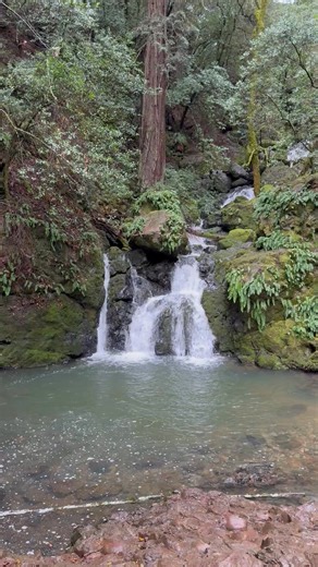 Brian George on Reels