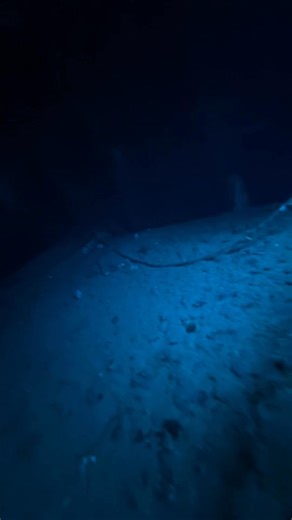 Neofytos Vlasiou on Reels