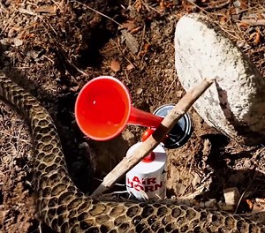 25K views · 62 reactions | Smart Solutions for Every Situation: Life Hacks You’ll Actually Use! #fblifestyle | 5-Minute Workouts | Facebook