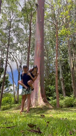 8.9K views · 80 reactions | pros and cons of dating a korean mormon (part 2) | Cierra Mistt fans | Facebook