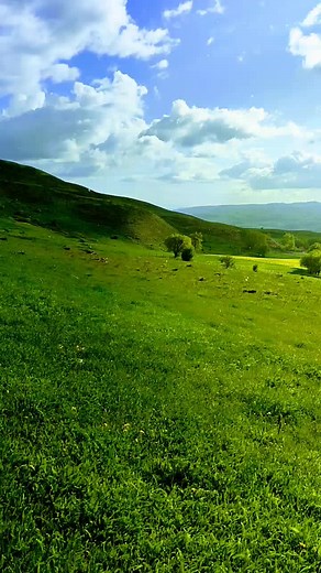 Serene Spring Landscape with Rolling Hills and Trees