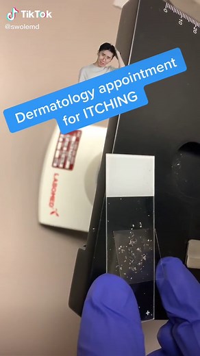 Exploring Scabies: What It Looks Like Under a Microscope