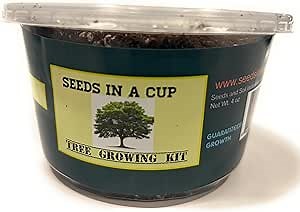Amazon.com : Dogwood | Seed Starter Grow Kit | Seeds In A Cup® : Patio, Lawn & Garden