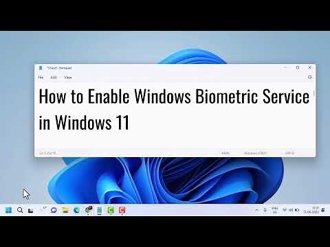 Enable Windows Biometric Service in Windows 11 (2022)