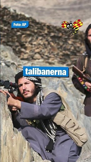 Pakistan förklarar öppet krig mot talibanerna
