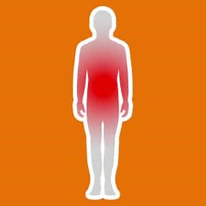 Maladies, parasites et vers du chat transmissibles à l'homme - Catedog