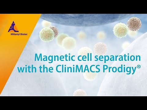 How does the CliniMACS Prodigy® perform magnetic cell separation?