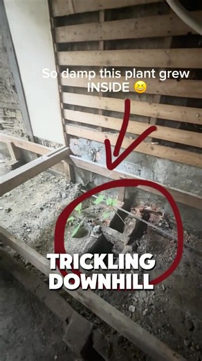 The "Hidden" Challenges of Restoring a 100-Year-Old Machiya 🏯🛠️