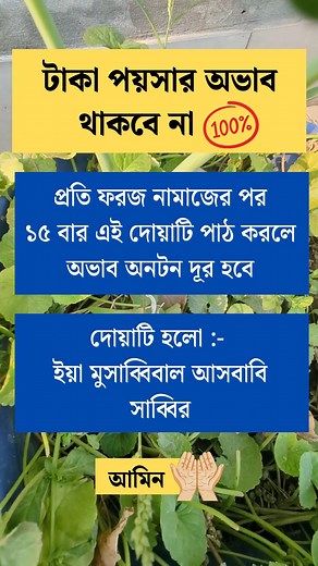 319K views · 2.3K reactions | The history of #photography began with...