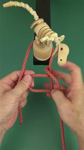 Learn Bowline Knot Ultimate Technique