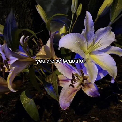 You Are Beautiful: Embracing Kindness and Inner Beauty