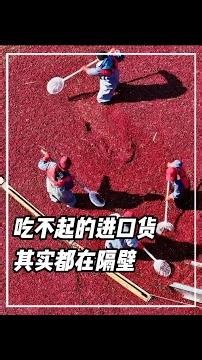 x工業摸底震驚一時，農業摸底刷新認知#工業大摸底 #農業 #蔓越莓 #鳳梨酥