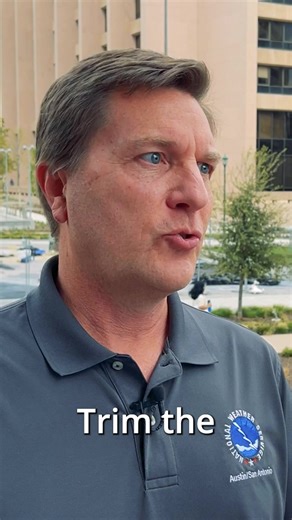 14 reactions | What can I do to protect my home during storms? | Texas Department of Insurance | Facebook