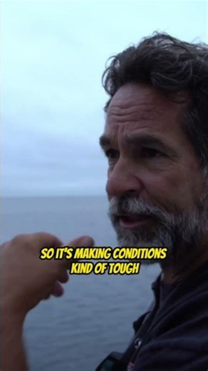 How to Cast a Sardine!