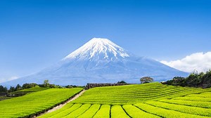 JAPÁN utazás - JAPÁN  csoportos körutazás | OTP TRAVEL Utazási Iroda