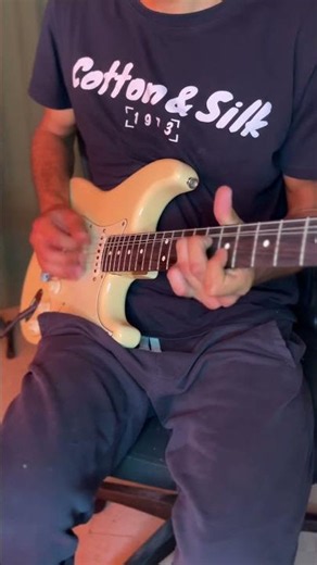John Frusciante style solo - I could have lied live #johnfrusciante #redhotchilipeppers #guitarsolo