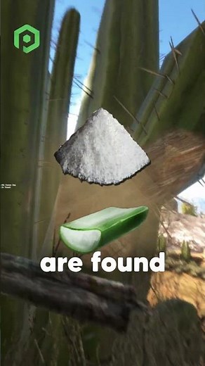 ARK Resource Locations for Ragnarok #shorts