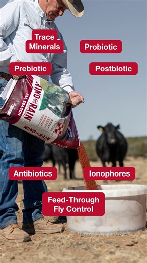 Purina Feed Greatness on Instagram: "Added feed ingredients can help support cattle performance and health. But, choosing the right ingredients isn’t always straightforward, get a closer look at the types of additives available and how to make them work in your mineral program."