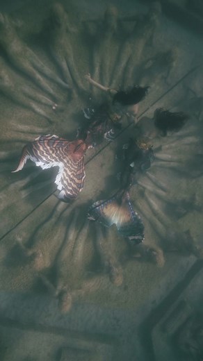 I could stay in this moment forever 🩵 #mermaid #siren #folklore #fantasy tails by Merbella Studios Inc. video by Ocean Obscura | Mermaid Sirenity