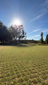 Morning roll to help firm up the green after our mini renovation. It’s still a bit too sandy to cut. | Lawn Tips