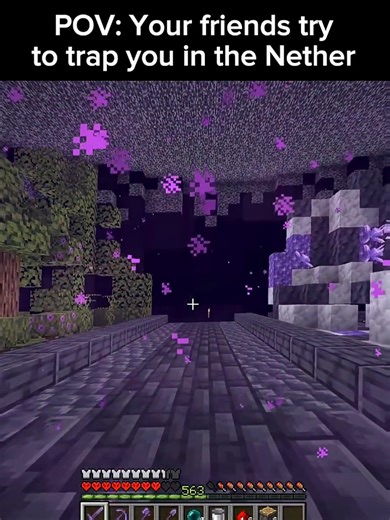 Friends Trapped in the Nether: A Minecraft Adventure