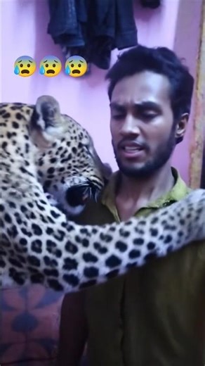 Khunkhar Chite Ne Insan se ki dosti# paaltu Cheetah# funny video# comedy# paaltu tiger# tiger attack
