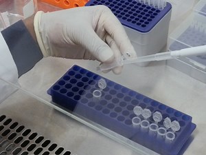 A Protocol for Using Förster Resonance Energy Transfer (FRET)-force Biosensors to Measure Mechanical Forces across the Nuclear LINC Complex