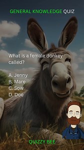 85K views · 834 reactions | General Knowledge Quiz | Smarty Pants Reel: General Knowledge Edition! 邏易 | #generalknowledge #quiz #education #general #knowledge #learning #getlearning #challenge #quiztime #school #trivia #facts #brainteaser #fbreels #reelsfb #reels #viral #viralreels #viralvideo #fyp #educationalcontent #quizbee | Quizzy Bee | Facebook