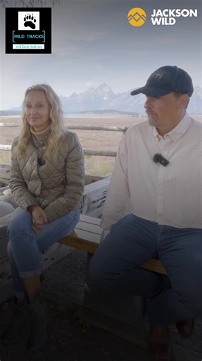 8.2K views · 112 reactions | New podcast episode is live with founder of S.P.E.C.I.E.S. Anthony Giordano, check it out! https://youtu.be/HhABiT5BvTk?si=FLUKrpMNSdIM3xGB | Casey Anderson | Facebook