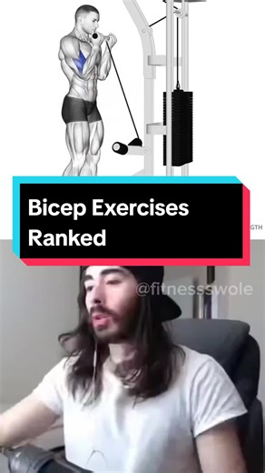 Ranking the Best Bicep Exercises for Bodybuilders and Powerlifters