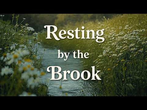 Gentle Stream Sounds and Peaceful Music for Sleep, Prayer, Reading & Relaxation [11 HOURS]