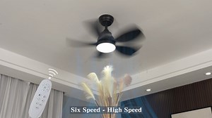 Watch 30 Inch Black Ceiling Fan with Lights on Amazon Live