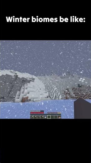 Winter biomes be like