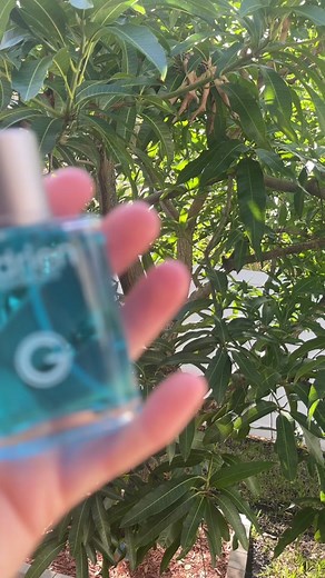 The classics🤭🤭🤭 Get the miraculous fragrances now! #miraculousladybug #chatnoir #ladybug #adrienagreste