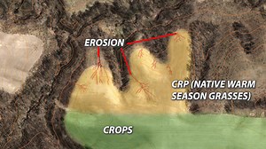 8.9K views · 35 reactions | CRP programs can be beneficial for your...