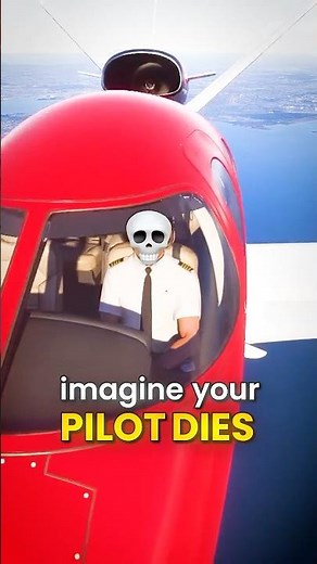 Cirrus SF50 Emergency Autoland Airplane Feature in MSFS2024