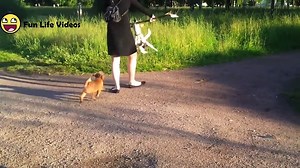 Best Fails of April 2018 - Funny Fail Compilation Try Not to Laugh Challenge ft - video Dailymotion